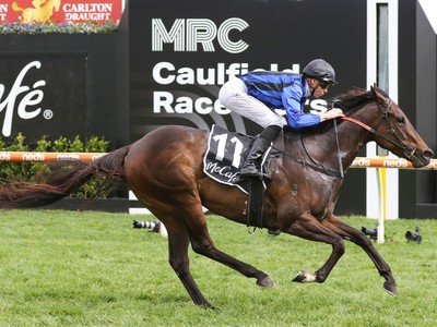 Asfoora triumphs in the Caulfield Sprint, 2022 Image 1